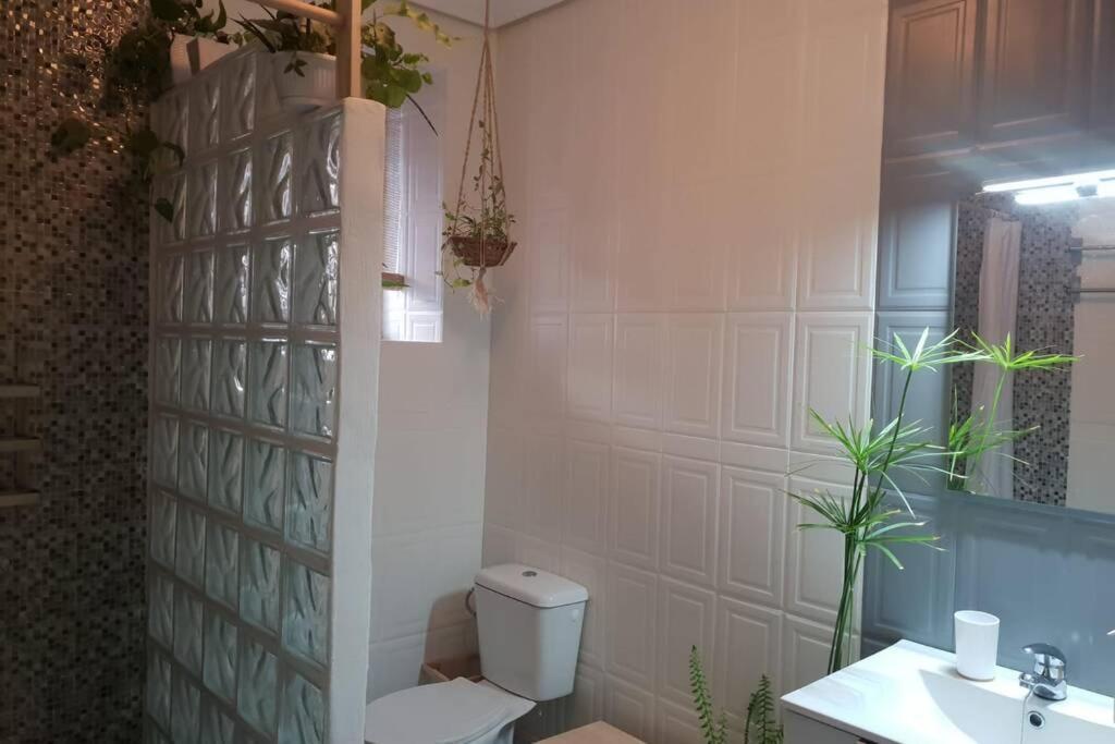 Bonito y coqueto apartamento Córdoba Exterior foto