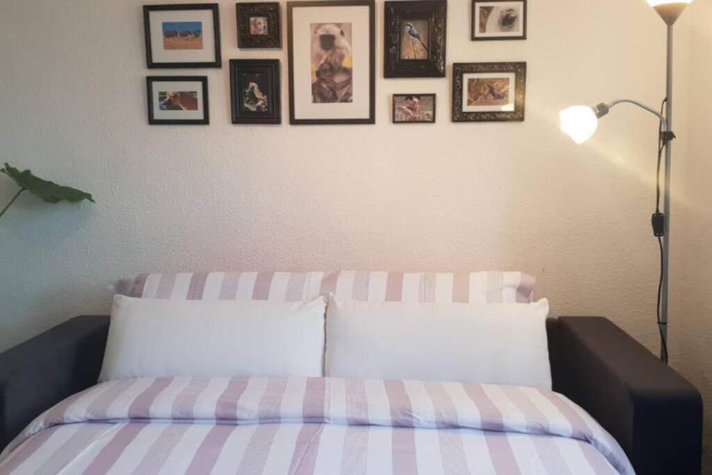 Bonito y coqueto apartamento Córdoba Exterior foto