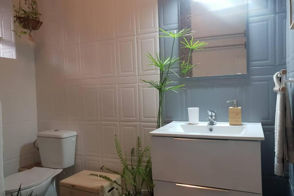 Bonito y coqueto apartamento Córdoba Exterior foto